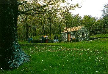 Casolare di Serra Buffa, nel bosco Cerrita